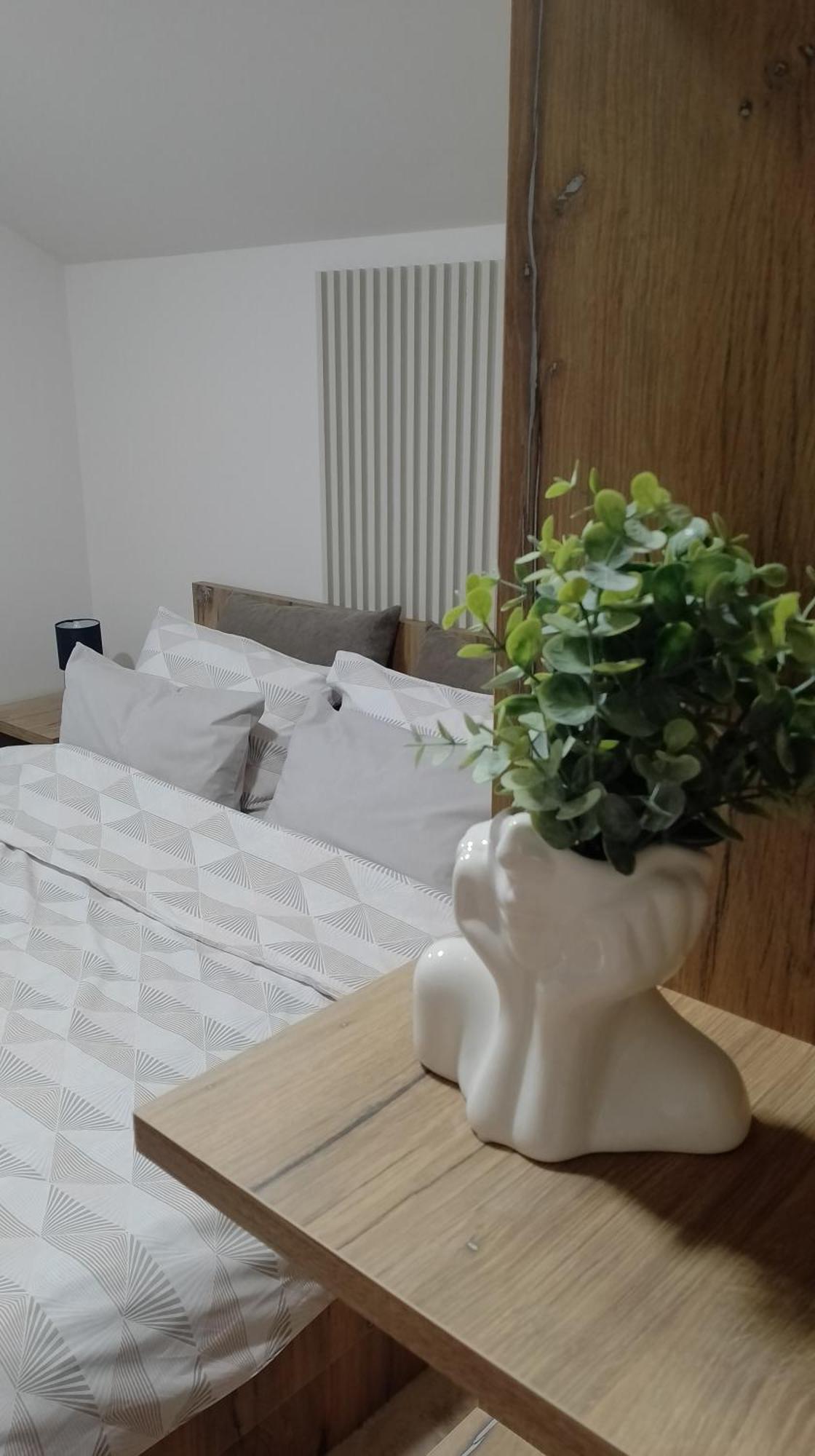 Apartman Dve Lipe Палич Экстерьер фото